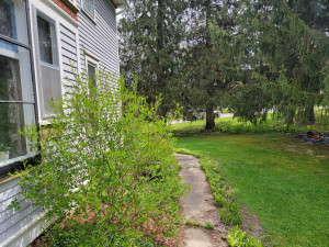 Photo for 709 Parkway Avenue S, Lanesboro, MN 55949 - Listing #6192673 709 Parkway Avenue S, Lanesboro, MN 55949