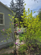 Photo for 709 Parkway Avenue S, Lanesboro, MN 55949 - Listing #6192673 709 Parkway Avenue S, Lanesboro, MN 55949