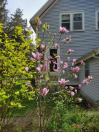 Photo for 709 Parkway Avenue S, Lanesboro, MN 55949 - Listing #6192673 709 Parkway Avenue S, Lanesboro, MN 55949