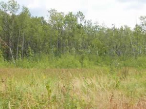 Photo for Lot 23 Bluff Creek Trails, Superior, WI 54880 - Listing #5353853 Lot 23 Bluff Creek Trails, Superior, WI 54880
