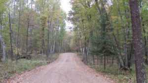 Photo for Lot 8 Blk Falling Leaf Trail, Park Rapids, MN 56470 - Listing #4554265 Lot 8 Blk Falling Leaf Trail, Park Rapids, MN 56470