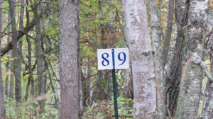 Photo for Lot 8 Blk Falling Leaf Trail, Park Rapids, MN 56470 - Listing #4554265 Lot 8 Blk Falling Leaf Trail, Park Rapids, MN 56470