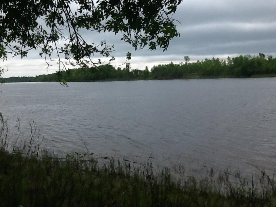 2876 Hwy 11 S, Loman, MN 56654 (MLS 5198460) TruNorth Realty