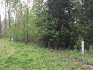Photo for TBD Hard Pine Drive, Park Rapids, MN 56470 - Listing #4208500 TBD Hard Pine Drive, Park Rapids, MN 56470