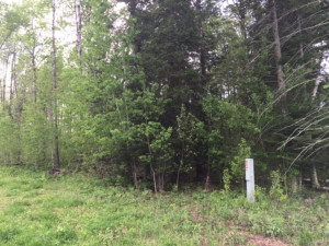 Photo for TBD Hard Pine Drive, Park Rapids, MN 56470 - Listing #4208500 TBD Hard Pine Drive, Park Rapids, MN 56470