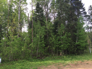Photo for TBD Hard Pine Drive, Park Rapids, MN 56470 - Listing #4208500 TBD Hard Pine Drive, Park Rapids, MN 56470
