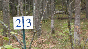 Photo for Lot 2 Blk Falling Leaf Trail, Park Rapids, MN 56470 - Listing #4554251 Lot 2 Blk Falling Leaf Trail, Park Rapids, MN 56470