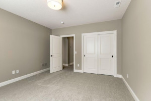 133 Lakeshore Circle, Waconia, MN 55387