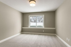 133 Lakeshore Circle, Waconia, MN 55387
