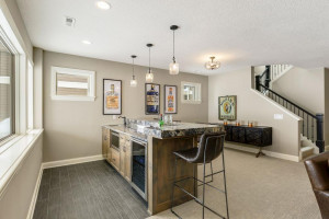 133 Lakeshore Circle, Waconia, MN 55387