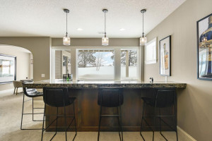 133 Lakeshore Circle, Waconia, MN 55387