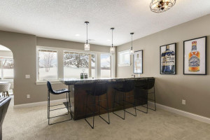 133 Lakeshore Circle, Waconia, MN 55387