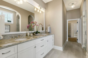 133 Lakeshore Circle, Waconia, MN 55387