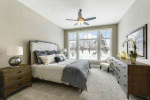 133 Lakeshore Circle, Waconia, MN 55387
