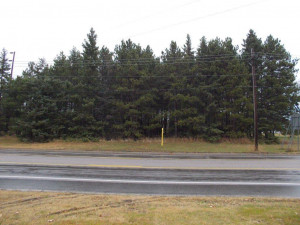 Photo for 2003 Division Street W, Bemidji, MN 56601 - Listing #5470044 2003 Division Street W, Bemidji, MN 56601