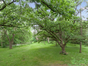 Photo for 1515 E 98th Street, Bloomington, MN 55425 - Listing #5581552 1515 E 98th Street, Bloomington, MN 55425