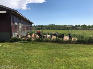 Photo for 37534 580th Avenue, Warroad, MN 56763 - Listing #5582093 37534 580th Avenue, Warroad, MN 56763