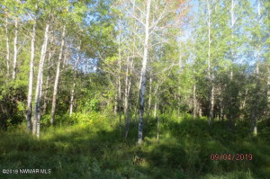 Photo for 48th Street NW, Williams, MN 56686 - Listing #5582982 48th Street NW, Williams, MN 56686