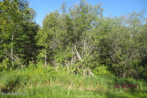 Photo for 48th Street NW, Williams, MN 56686 - Listing #5582982 48th Street NW, Williams, MN 56686