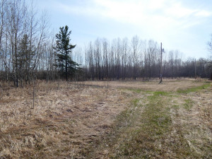 Photo for XXXX 150th Avenue, Strathcona, MN 56759 - Listing #5583933 XXXX 150th Avenue, Strathcona, MN 56759