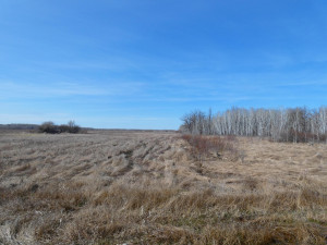 Photo for XXXX 150th Avenue, Strathcona, MN 56759 - Listing #5583933 XXXX 150th Avenue, Strathcona, MN 56759