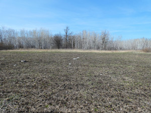 Photo for XXXX 150th Avenue, Strathcona, MN 56759 - Listing #5583933 XXXX 150th Avenue, Strathcona, MN 56759
