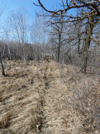 Photo for XXXX 150th Avenue, Strathcona, MN 56759 - Listing #5583933 XXXX 150th Avenue, Strathcona, MN 56759