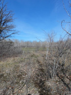 Photo for XXXX 150th Avenue, Strathcona, MN 56759 - Listing #5583933 XXXX 150th Avenue, Strathcona, MN 56759