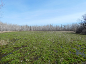 Photo for XXXX 150th Avenue, Strathcona, MN 56759 - Listing #5583933 XXXX 150th Avenue, Strathcona, MN 56759