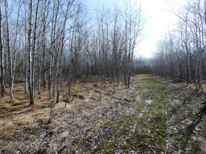 Photo for XXXX 150th Avenue, Strathcona, MN 56759 - Listing #5583933 XXXX 150th Avenue, Strathcona, MN 56759