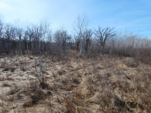 Photo for XXXX 150th Avenue, Strathcona, MN 56759 - Listing #5583933 XXXX 150th Avenue, Strathcona, MN 56759