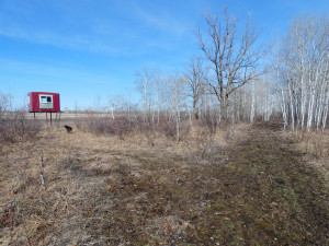 Photo for XXXX 150th Avenue, Strathcona, MN 56759 - Listing #5583933 XXXX 150th Avenue, Strathcona, MN 56759