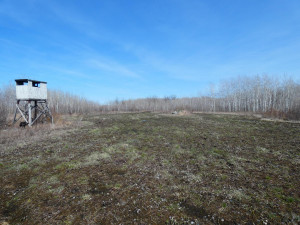 Photo for XXXX 150th Avenue, Strathcona, MN 56759 - Listing #5583933 XXXX 150th Avenue, Strathcona, MN 56759