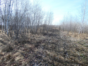 Photo for XXXX 150th Avenue, Strathcona, MN 56759 - Listing #5583933 XXXX 150th Avenue, Strathcona, MN 56759