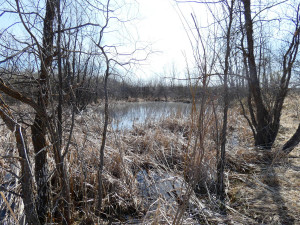 Photo for XXXX 150th Avenue, Strathcona, MN 56759 - Listing #5583933 XXXX 150th Avenue, Strathcona, MN 56759