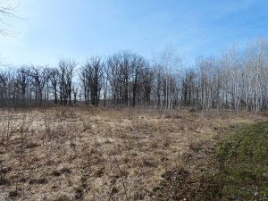 Photo for XXXX 150th Avenue, Strathcona, MN 56759 - Listing #5583933 XXXX 150th Avenue, Strathcona, MN 56759