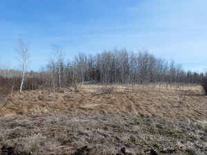Photo for XXXX 150th Avenue, Strathcona, MN 56759 - Listing #5583933 XXXX 150th Avenue, Strathcona, MN 56759