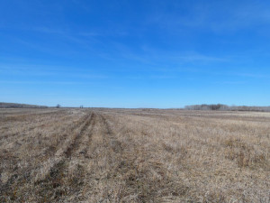 Photo for XXXX 150th Avenue, Strathcona, MN 56759 - Listing #5583933 XXXX 150th Avenue, Strathcona, MN 56759