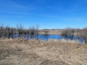 Photo for XXXX 150th Avenue, Strathcona, MN 56759 - Listing #5583933 XXXX 150th Avenue, Strathcona, MN 56759