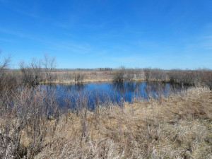 Photo for XXXX 150th Avenue, Strathcona, MN 56759 - Listing #5583933 XXXX 150th Avenue, Strathcona, MN 56759