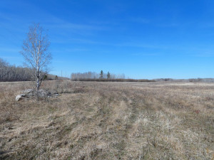 Photo for XXXX 150th Avenue, Strathcona, MN 56759 - Listing #5583933 XXXX 150th Avenue, Strathcona, MN 56759