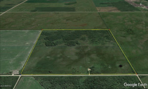 Photo for XXXX 150th Avenue, Strathcona, MN 56759 - Listing #5583933 XXXX 150th Avenue, Strathcona, MN 56759