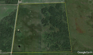 Photo for XXXX 150th Avenue, Strathcona, MN 56759 - Listing #5583933 XXXX 150th Avenue, Strathcona, MN 56759