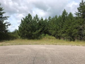 Photo for Lot 3 Mag Seven Court SW, Bemidji, MN 56601 - Listing #5585394 Lot 3 Mag Seven Court SW, Bemidji, MN 56601