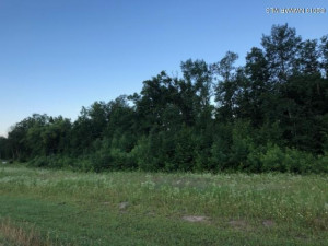 Photo for Lot 4 Tango Drive, Bemidji, MN 56601 - Listing #5585396 Lot 4 Tango Drive, Bemidji, MN 56601