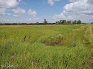 Photo for TBD 330th Street, Badger, MN - Listing #5586129 TBD 330th Street, Badger, MN