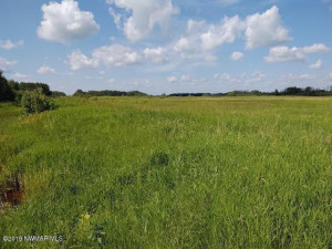 Photo for TBD 330th Street, Badger, MN - Listing #5586129 TBD 330th Street, Badger, MN