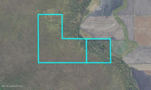 Photo for Wabanica Township Road, MN 56623 - Listing #5586209 Wabanica Township Road, MN 56623