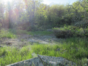 Photo for 0 Flag Island, Angle Inlet, MN 56711 - Listing #5586533 0 Flag Island, Angle Inlet, MN 56711
