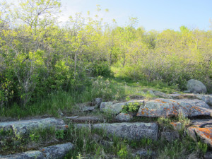 Photo for 0 Flag Island, Angle Inlet, MN 56711 - Listing #5586533 0 Flag Island, Angle Inlet, MN 56711